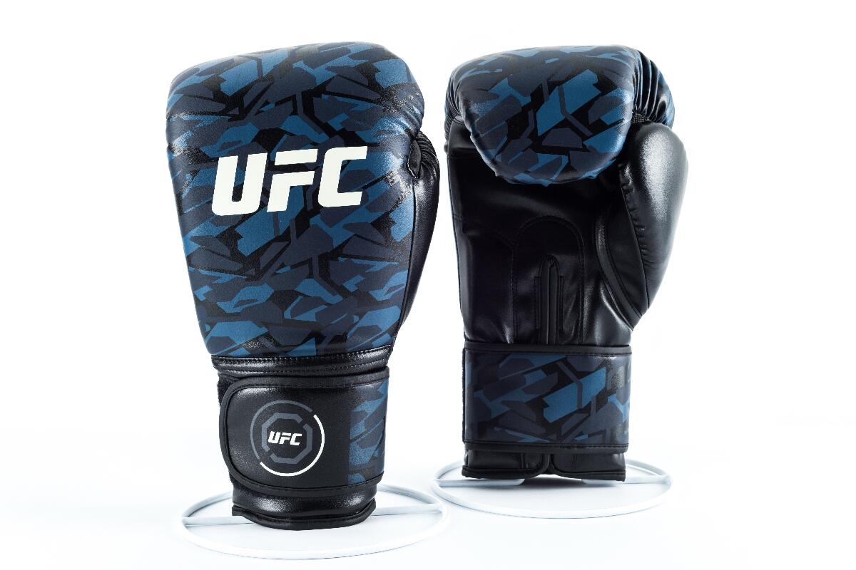 UFC picture