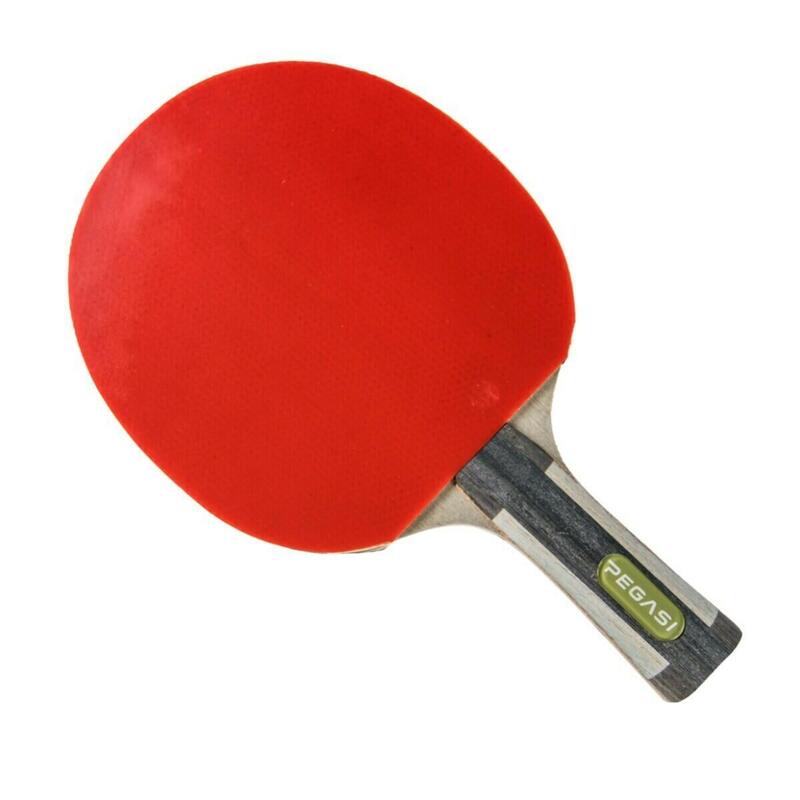 Table Tennis Bat Expert 6 étoiles