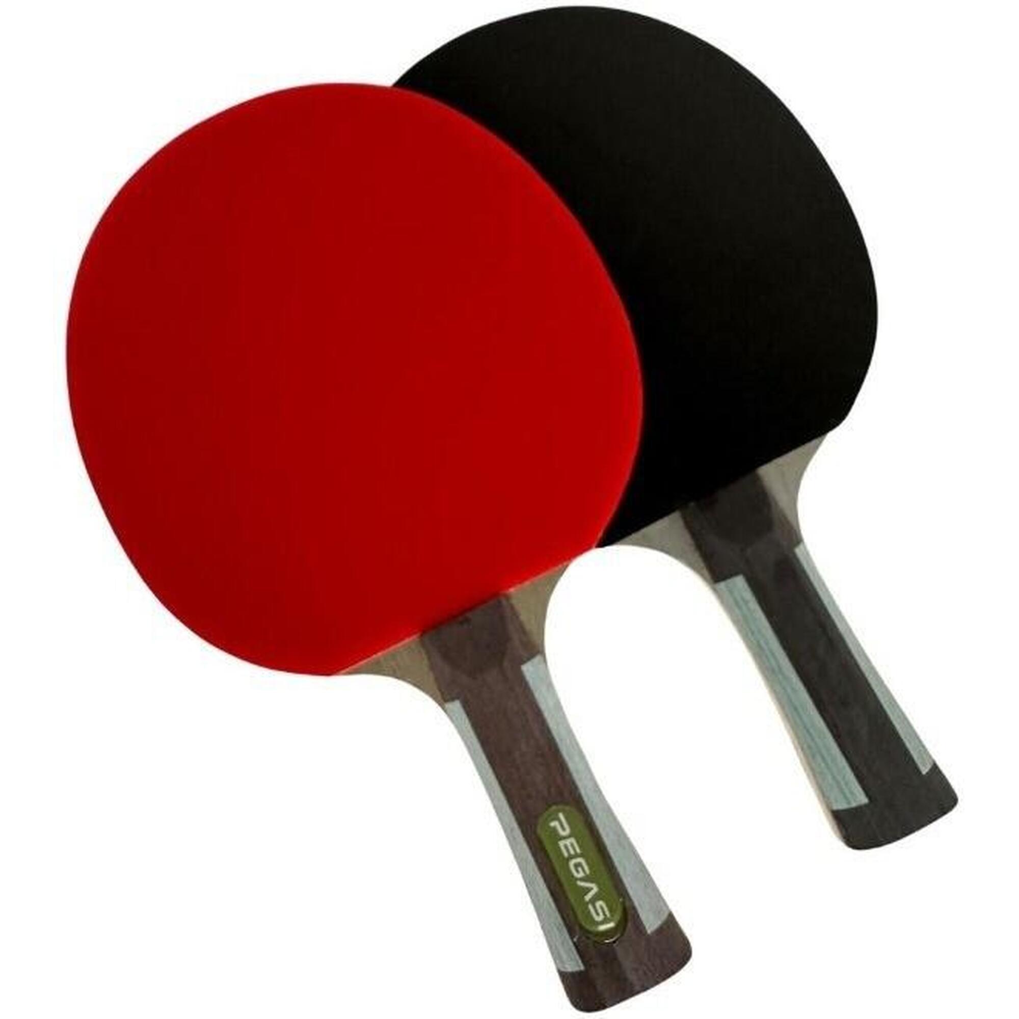 Table Tennis Bat Expert 6 étoiles
