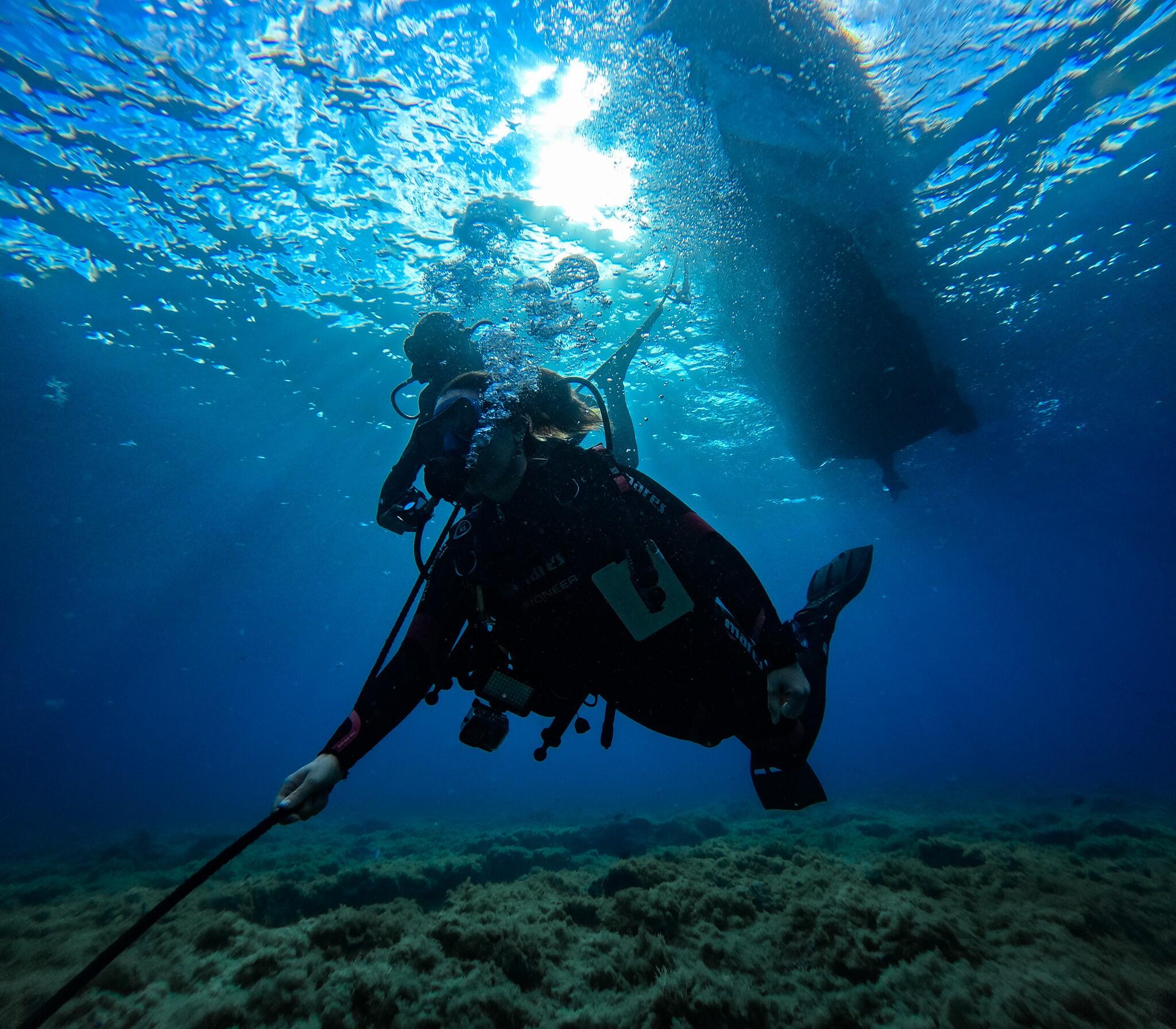 Stage de plongée au cœur de l'Atlantique à Tenerife 1/1