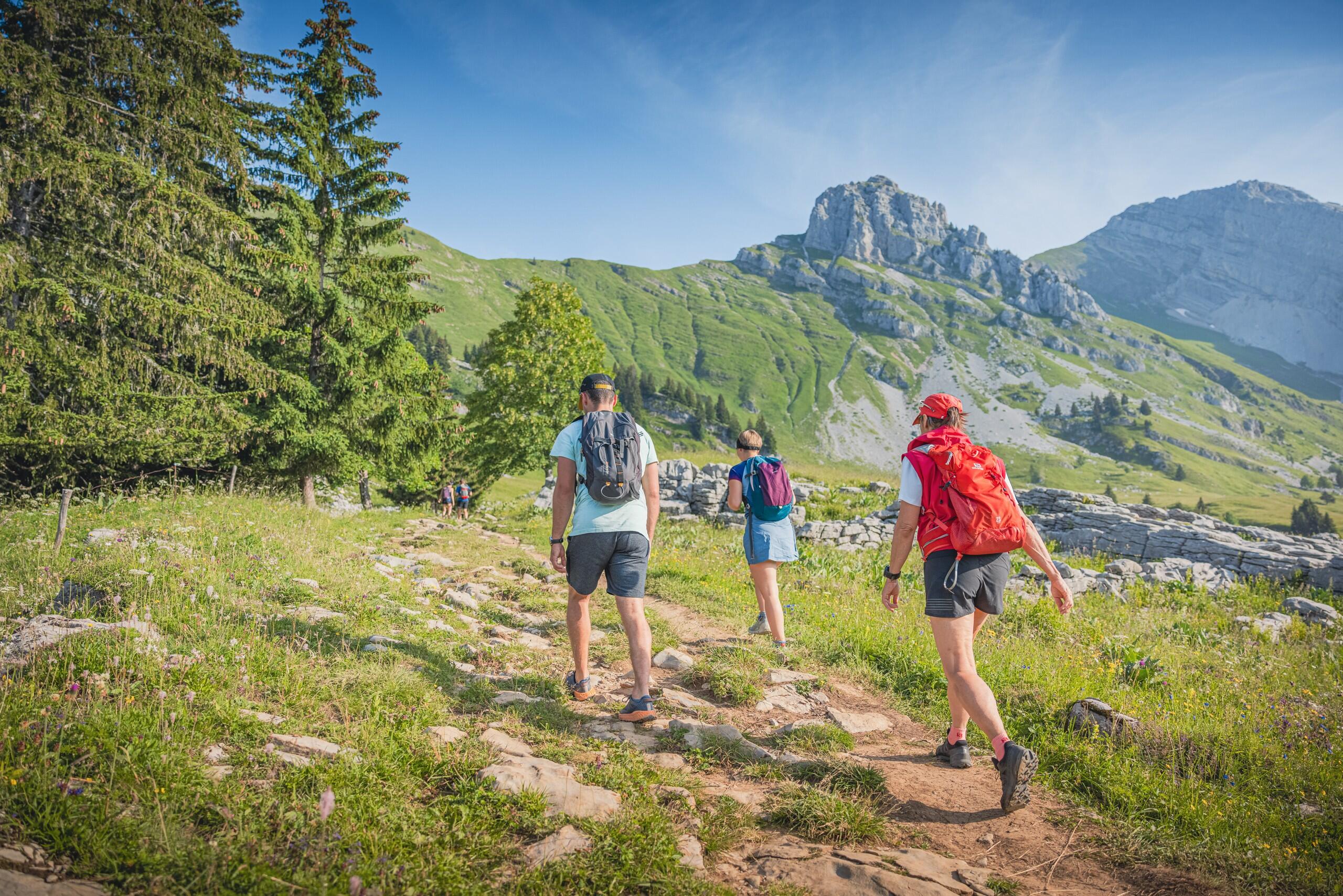 DECATHLON TRAVEL picture