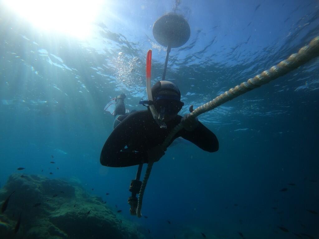 DECATHLON TRAVEL picture