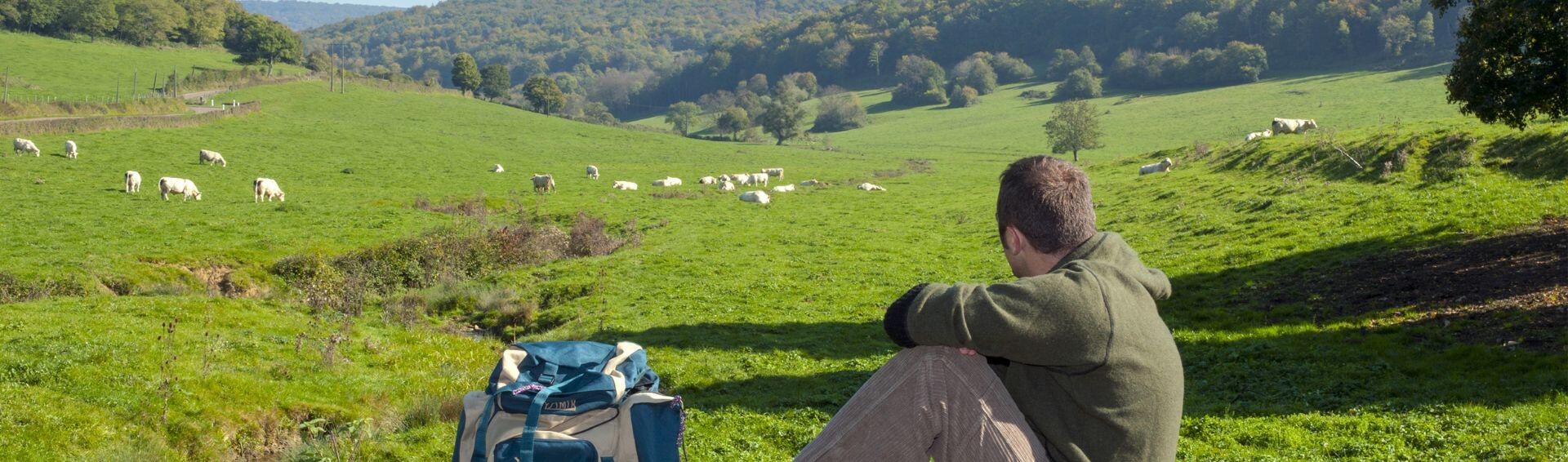 DECATHLON TRAVEL picture