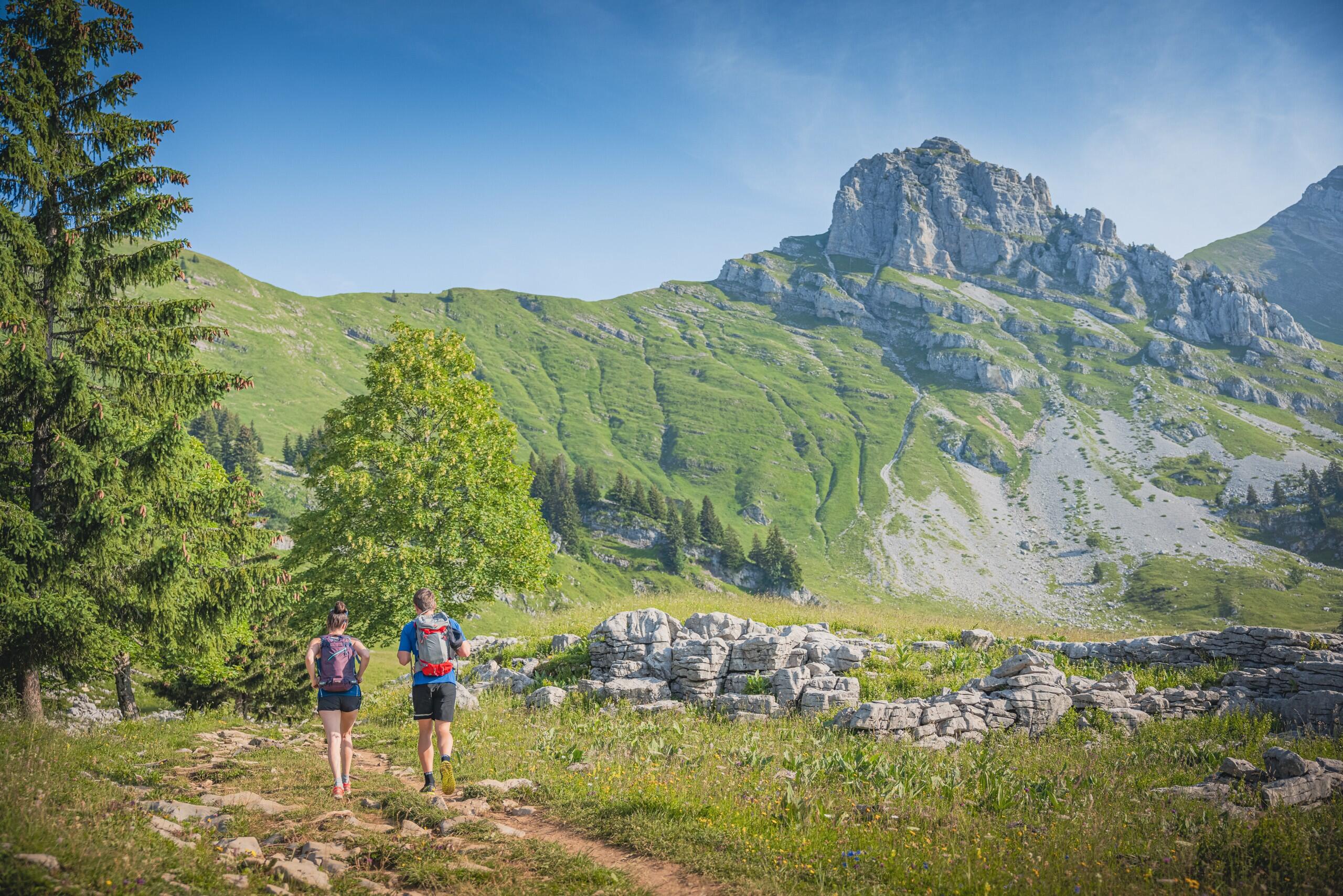 DECATHLON TRAVEL picture