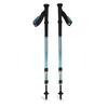 Bâton de trekking Black Diamond Trail Back (x2)