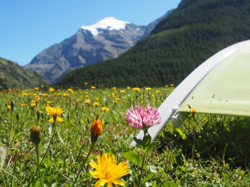 DECATHLON TRAVEL picture