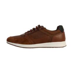 Basket Basse Cuir Geox Avery NBK Syn+Wrinkl - Homme