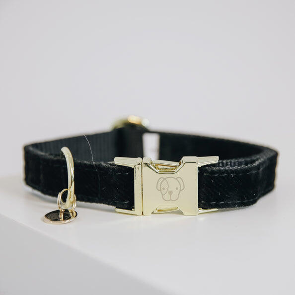 KENTUCKY HORSEWEAR Hondenhalsband Kentucky Corduroy