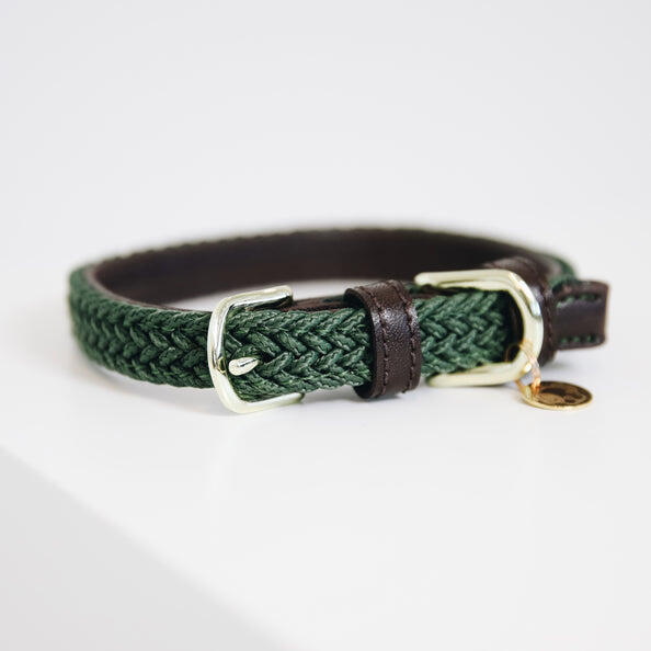 Gevlochten nylon hondenhalsband Kentucky