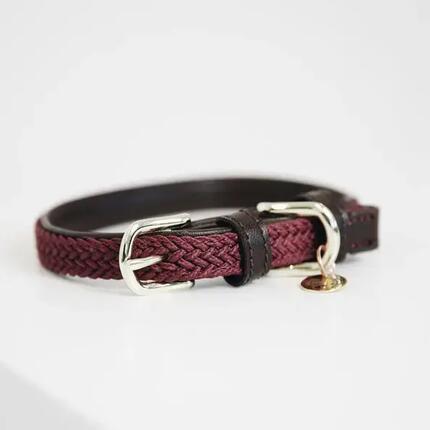 Collier pour chien en Nylon tressé - Kentucky