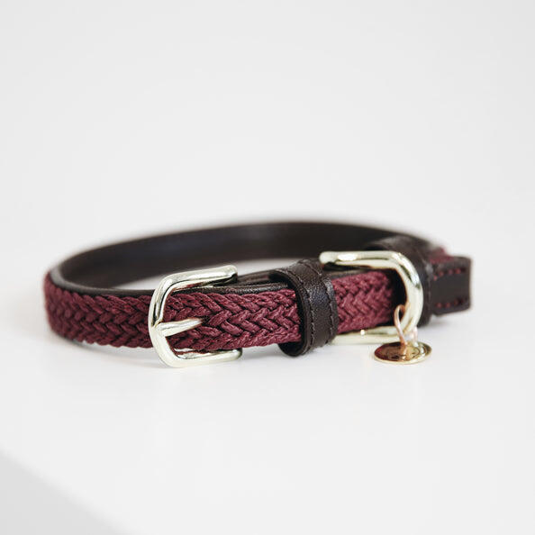 Collier pour chien en Nylon tressé - Kentucky