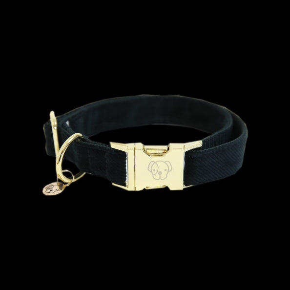 KENTUCKY HORSEWEAR Collare per cani Kentucky Corduroy
