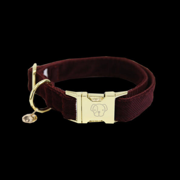 Collier pour chien Kentucky Corduroy