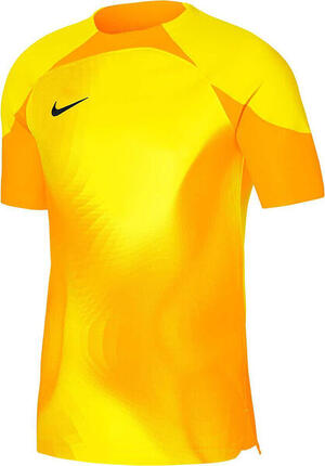 Koszulka sportowa męska Nike Dri-FIT Adv Gardien IV GK