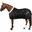 Couverture d'écurie pour cheval Imperial Riding Super-dry 150 g