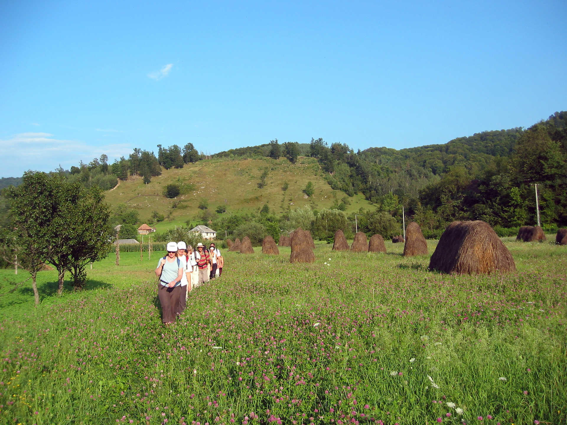Boekarest en de Maramures Karpaten 1/1