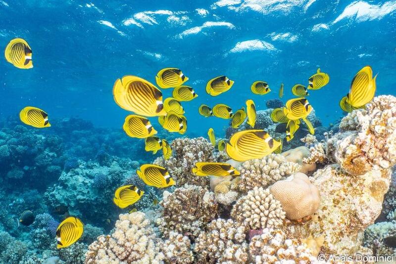 86e4079a-a030-4fbe-9c9d-2f79d9ebb572_novar