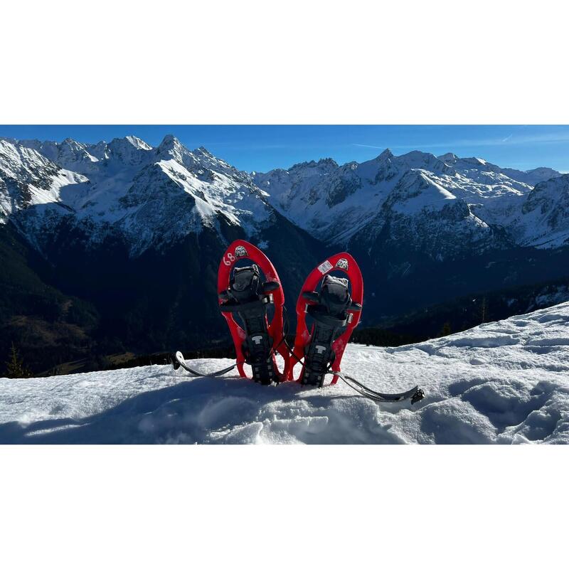 Raquettes à neige au cœur du Massif de Bellebonne, face au Mont Blanc