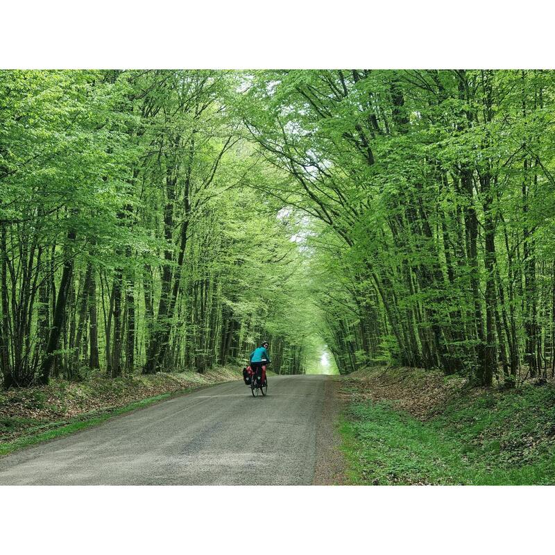 Ontdek het bos van Compiègne op de fiets