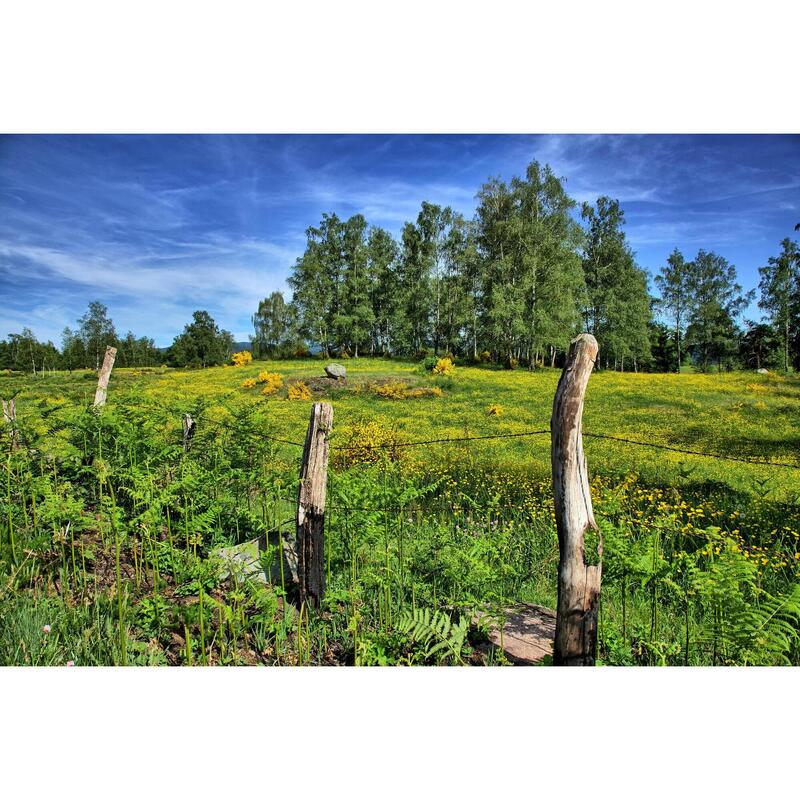 Wandelen en welzijn in de Hautes Vosges