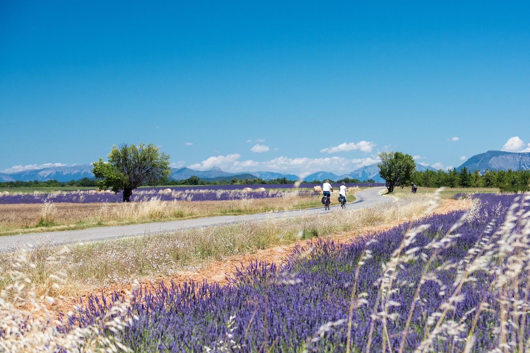 DECATHLON TRAVEL Lang weekend fietsen in de Drôme Provençale
