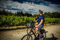 Avignon et ses alentours à vélo