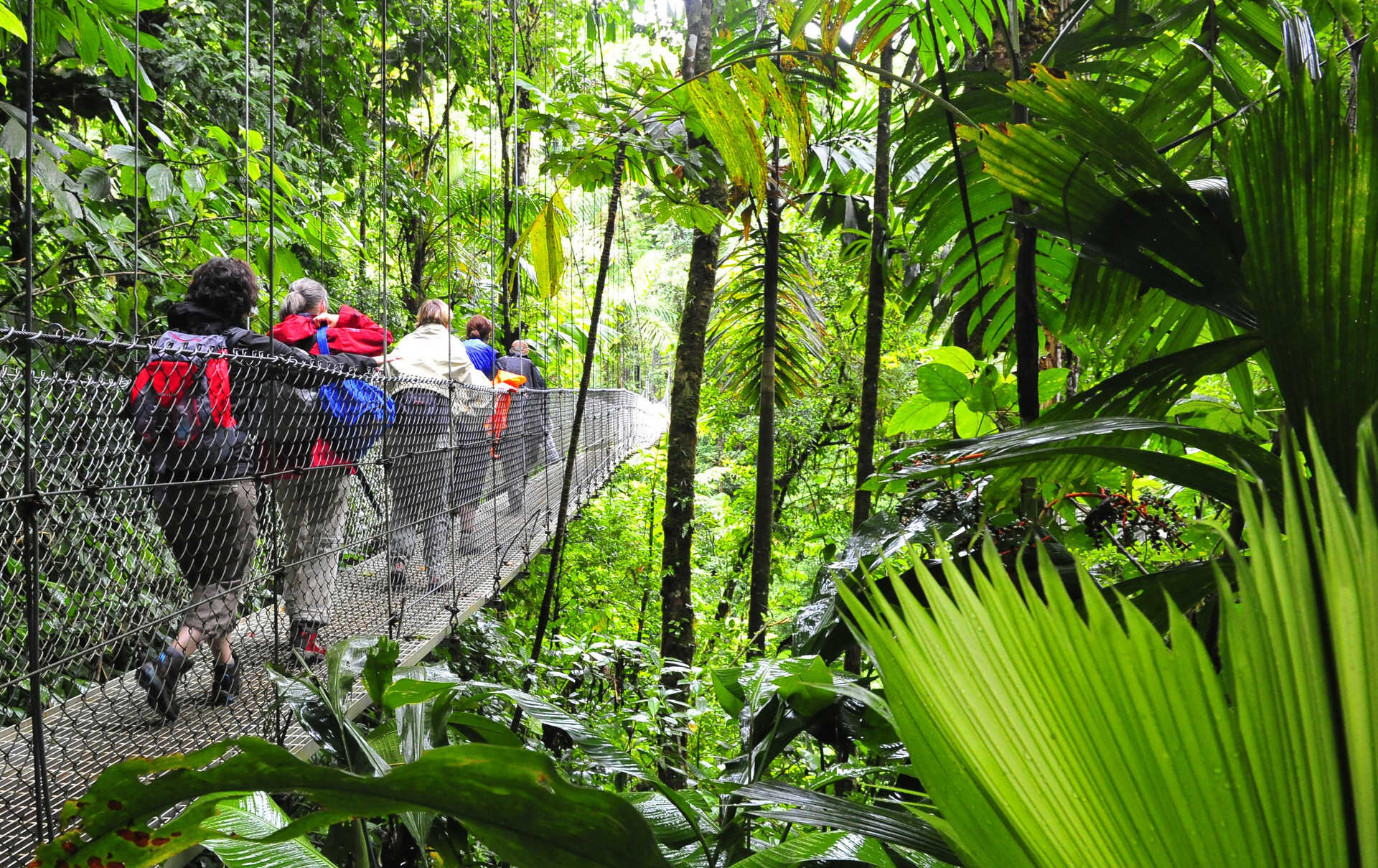 DECATHLON TRAVEL picture