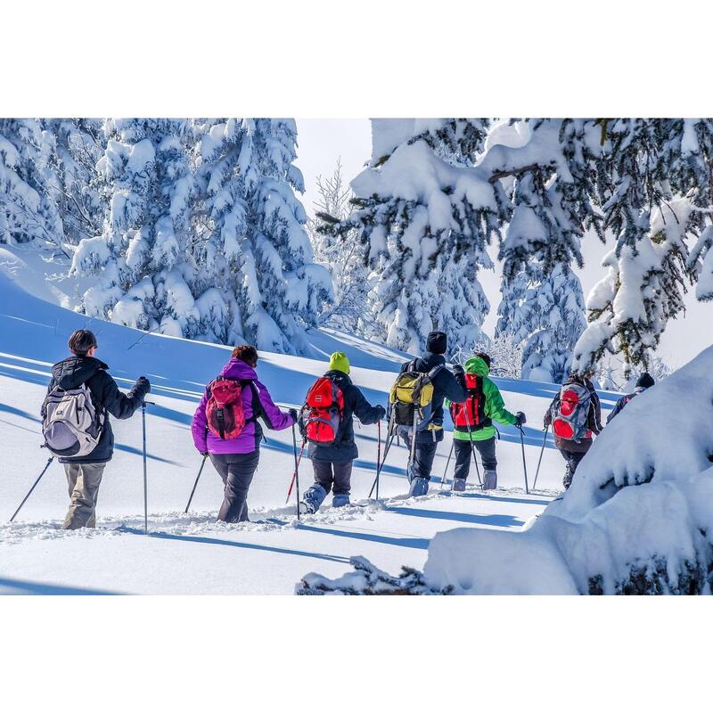 Sneeuwwandelen in het Chartreuse massief voor oudejaarsavond