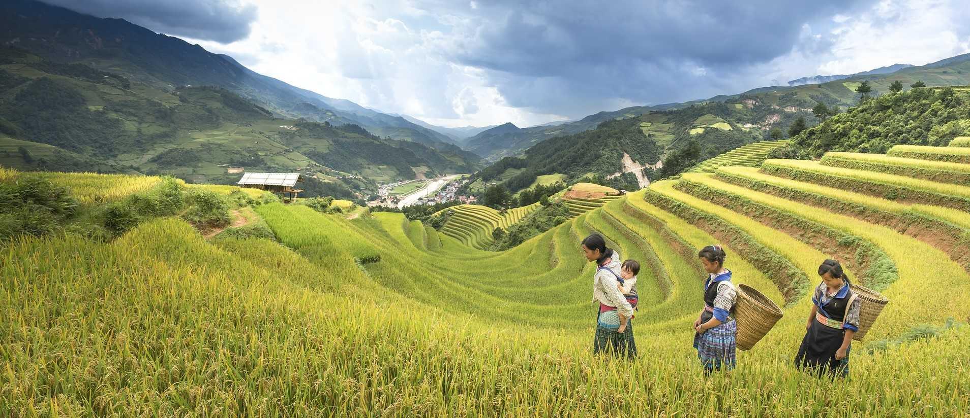 DECATHLON TRAVEL picture