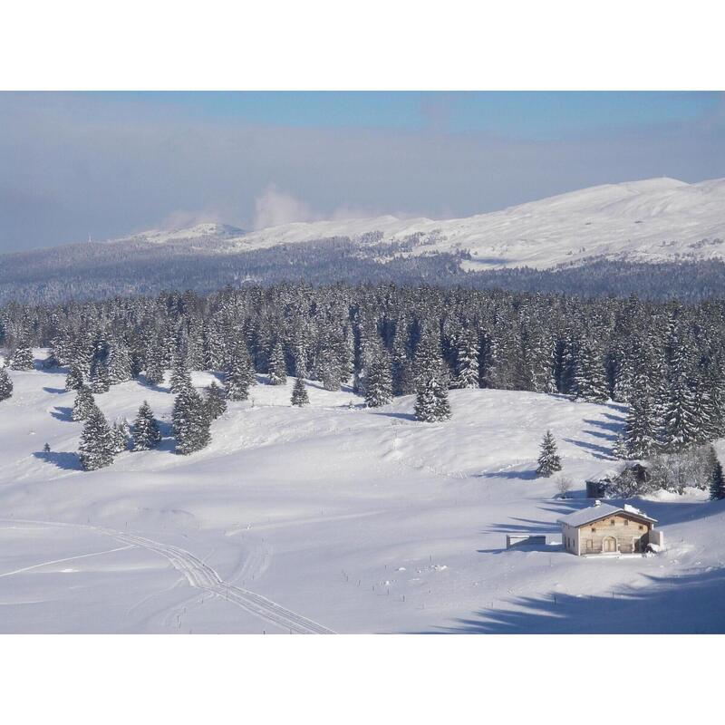 Grande traversée du Jura à raquettes en liberté