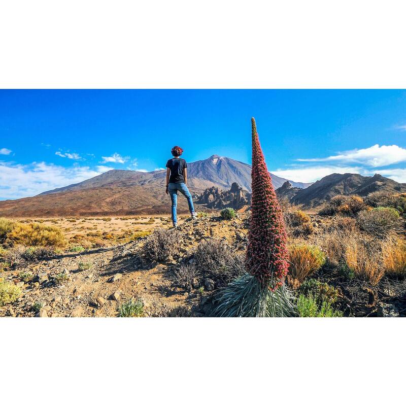 Rondleiding over het eiland Tenerife