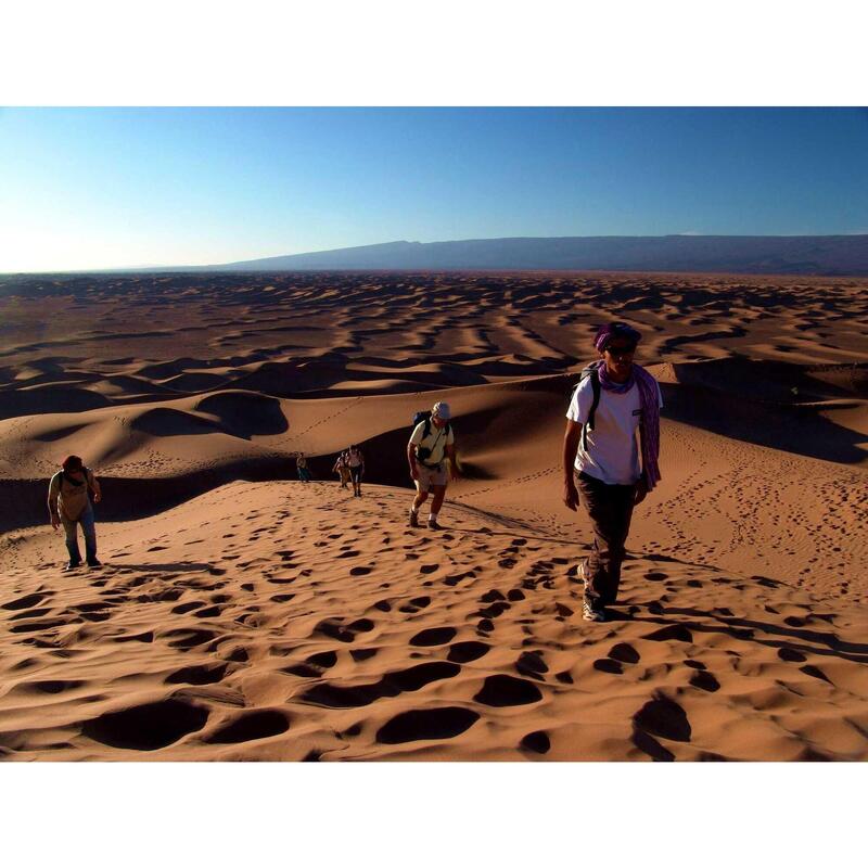 Onderdompeling in de grote ergs van de Sahara