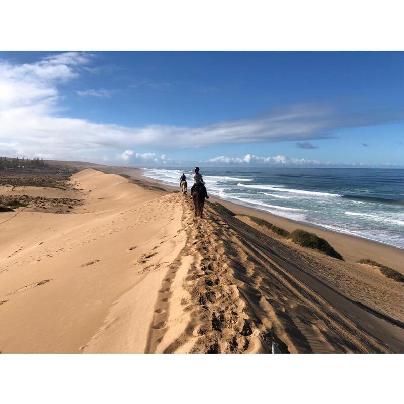 Trektochten te paard tussen stranden, woestijnen en palmbossen in Marokko