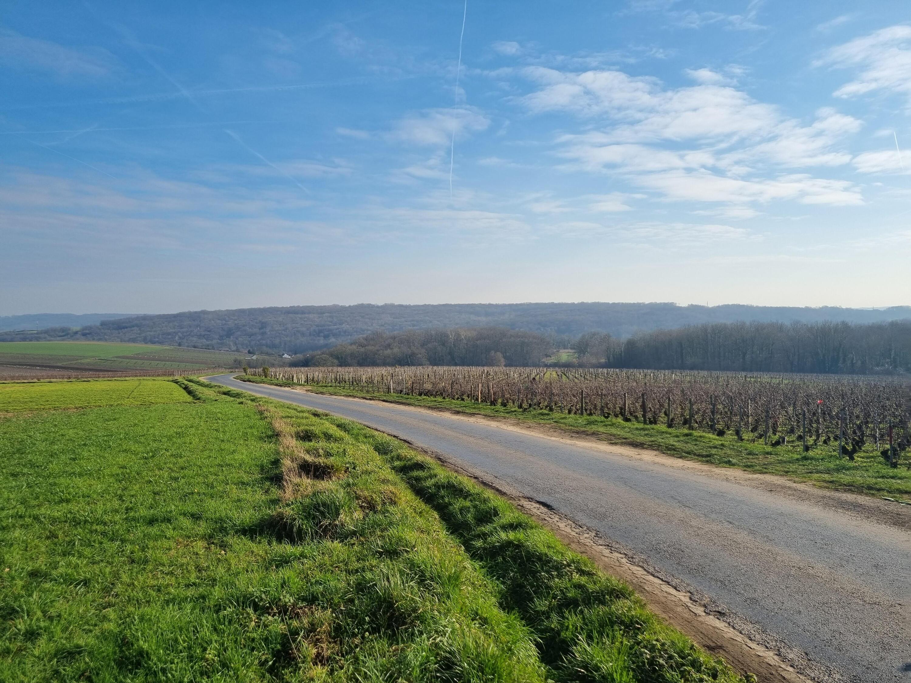 DECATHLON TRAVEL Fietsen in het hart van de Champagne wijngaarden