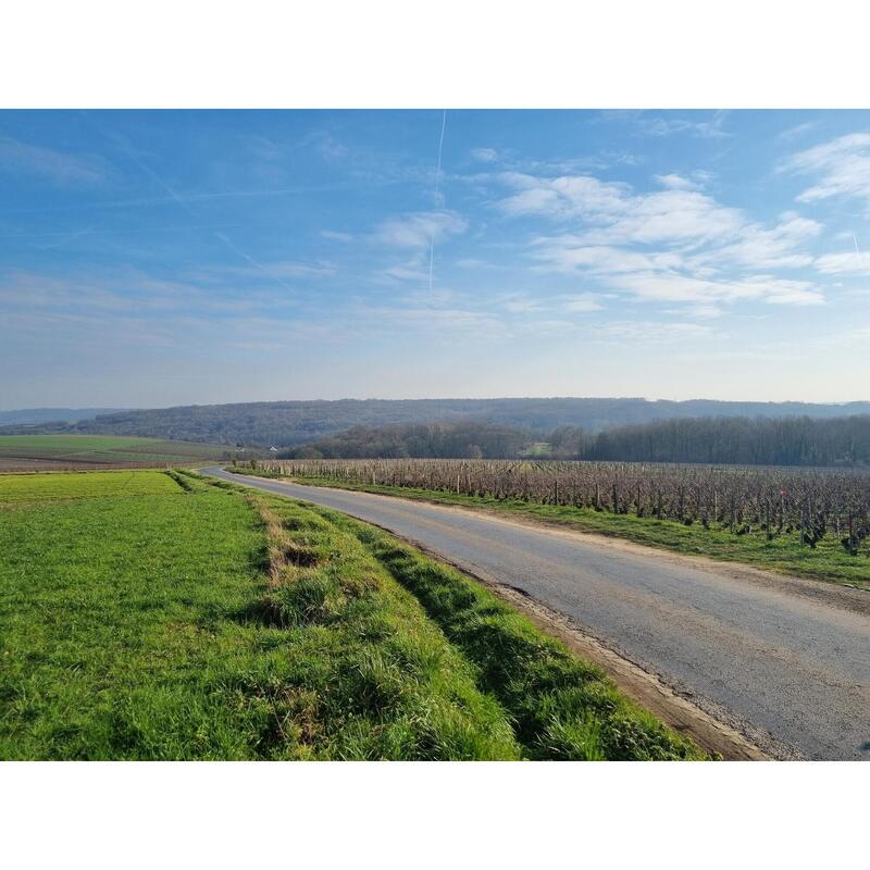 Fietsen in het hart van de Champagne wijngaarden