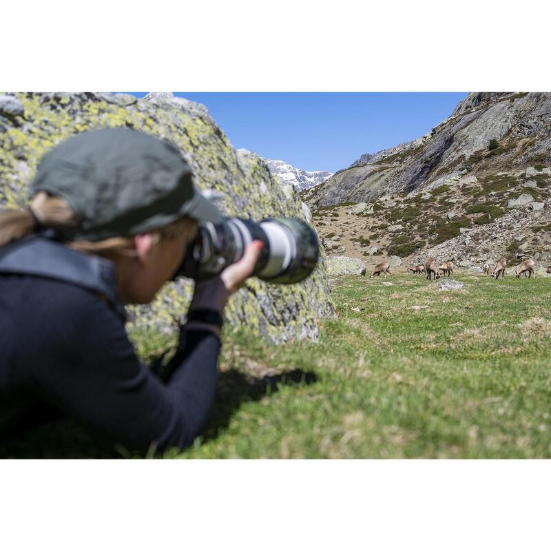 Foto-avontuur op zoek naar de gemzen van de Pyreneeën