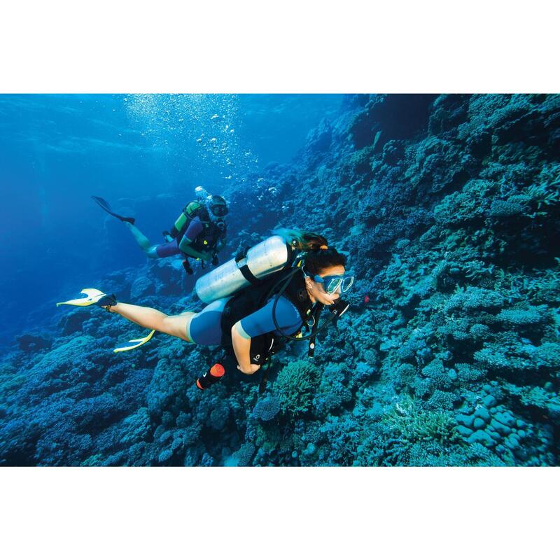 Doe je PADI Open Water cursus en ontdek de rijkdommen van Mexico