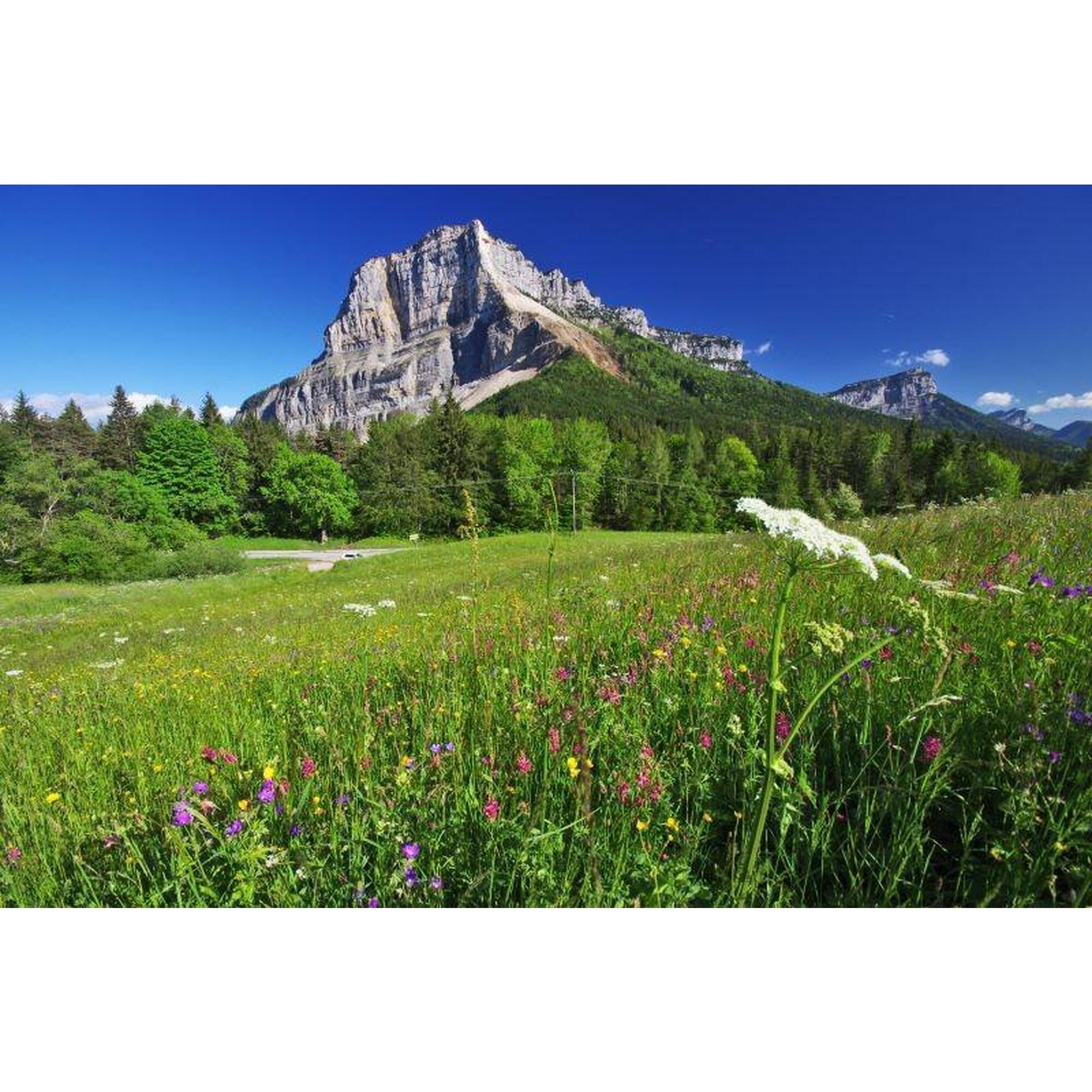 Volledige oversteek van het Chartreuse natuurpark tijdens vrije wandelingen