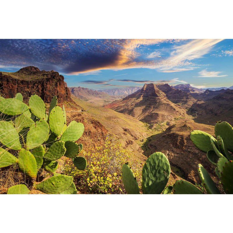 Gran Canaria, het eiland van contrasten