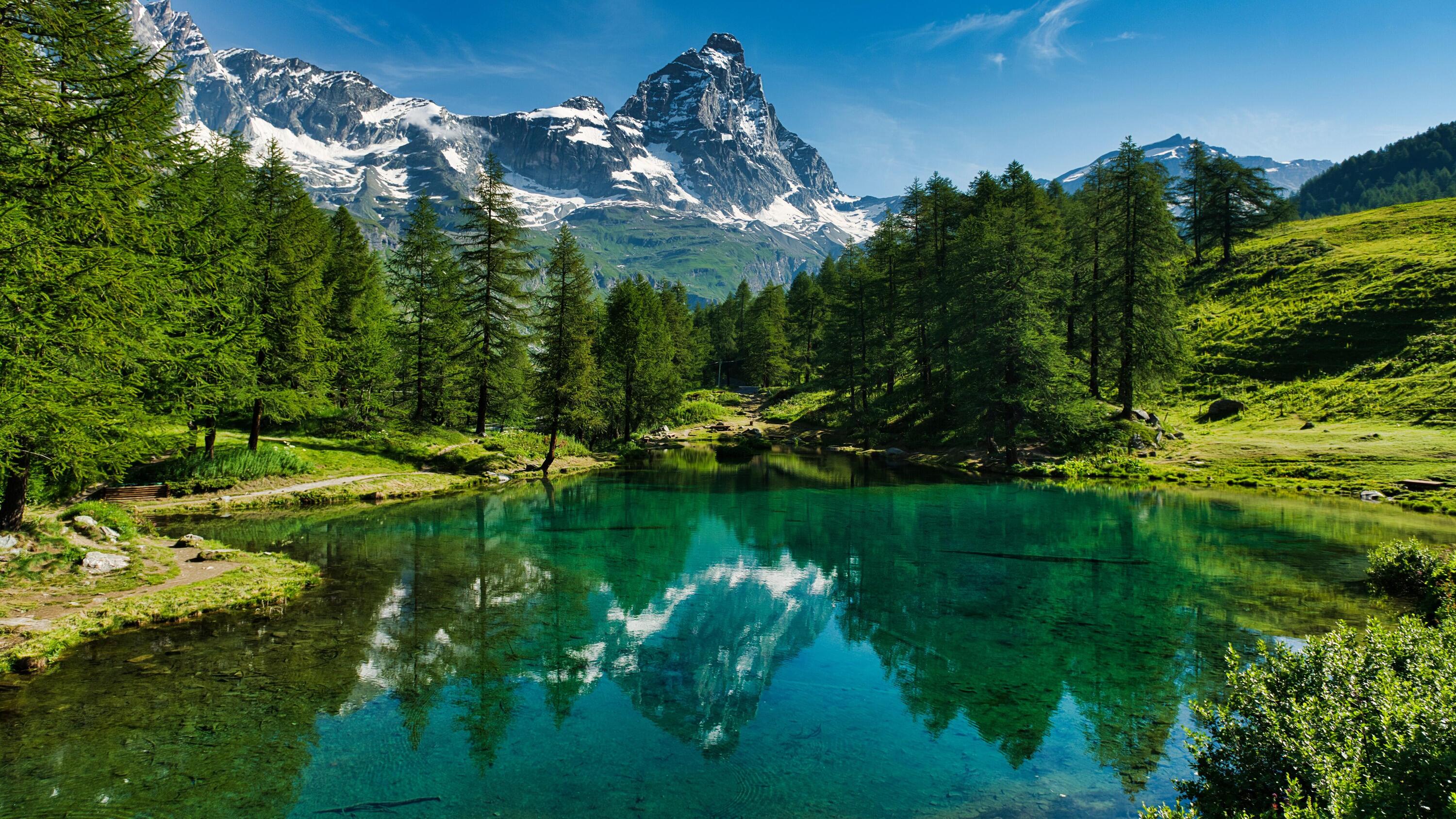 DECATHLON TRAVEL picture
