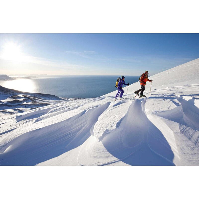 Sneeuwwandelen en het noorderlicht IJsland