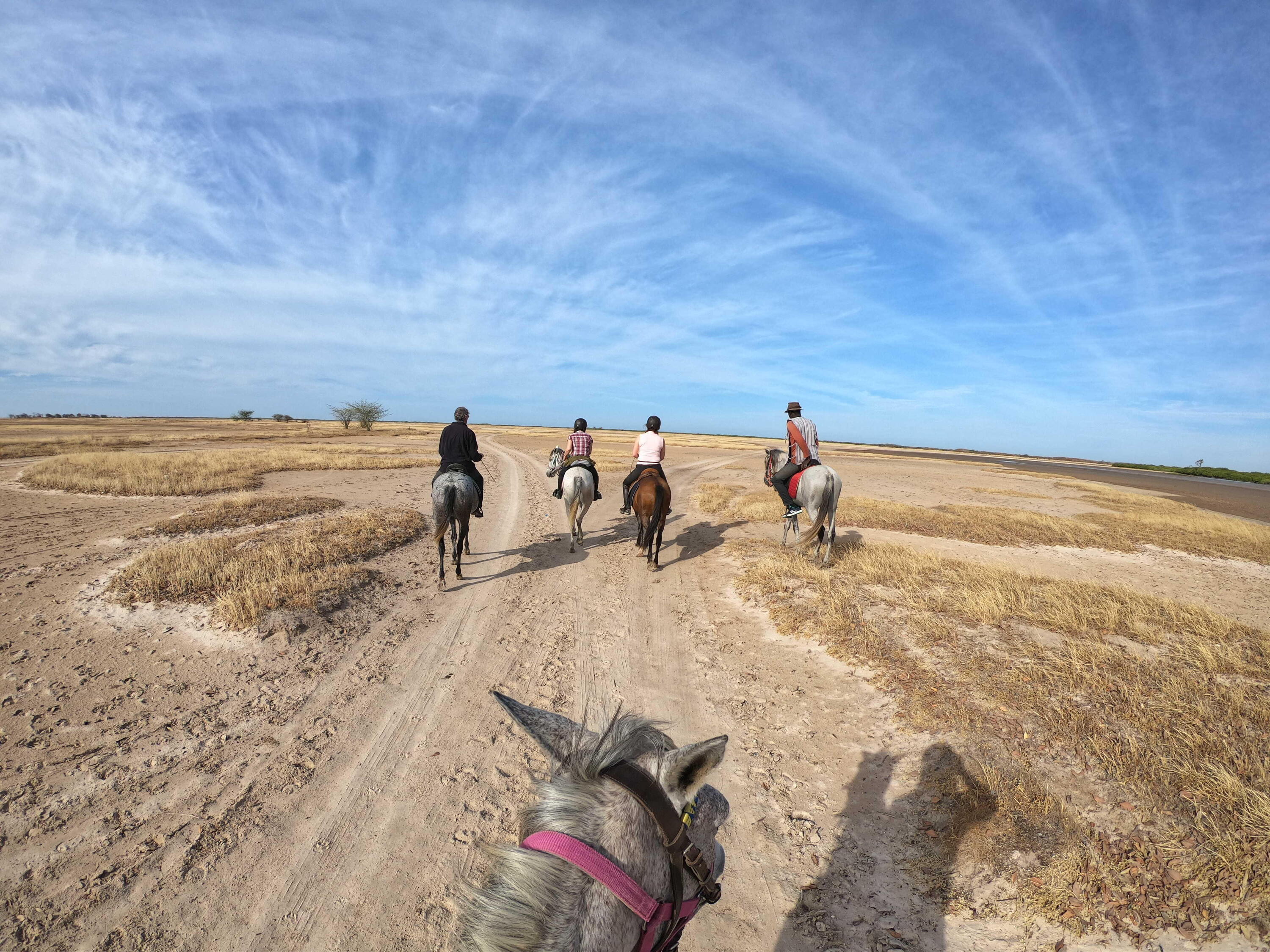 Safari à cheval dans le Sine Saloum au Sénégal 1/1