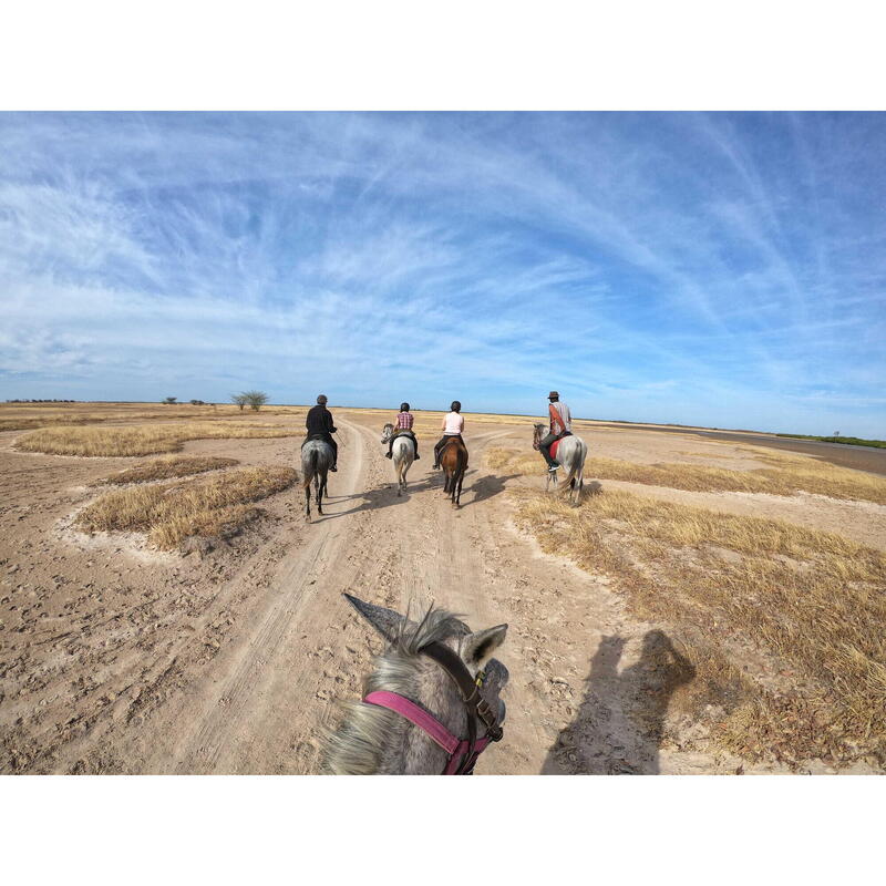 Paardsafari in de Sine Saloum, Senegal