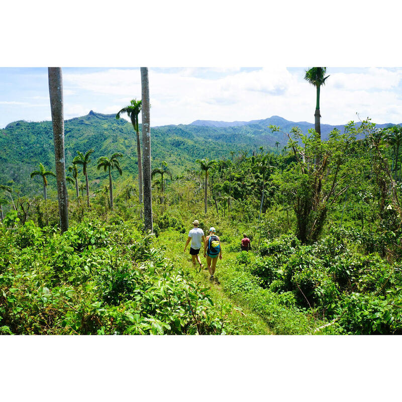 Cubaanse Trek