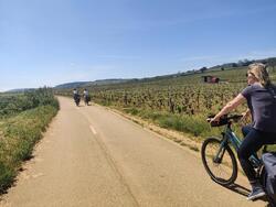 Vélo et yoga au cœur des vignobles Bourguignons