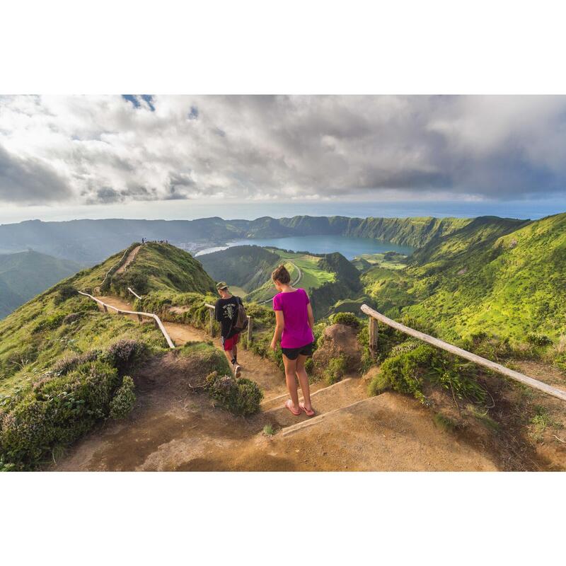 Het groene eiland Sao Miguel