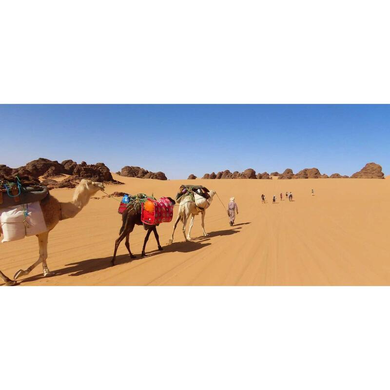 Sahara trektocht naar Essendilène