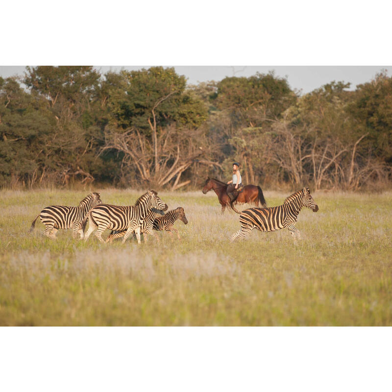 Safari à cheval de l'Afrique du Sud au Botswana