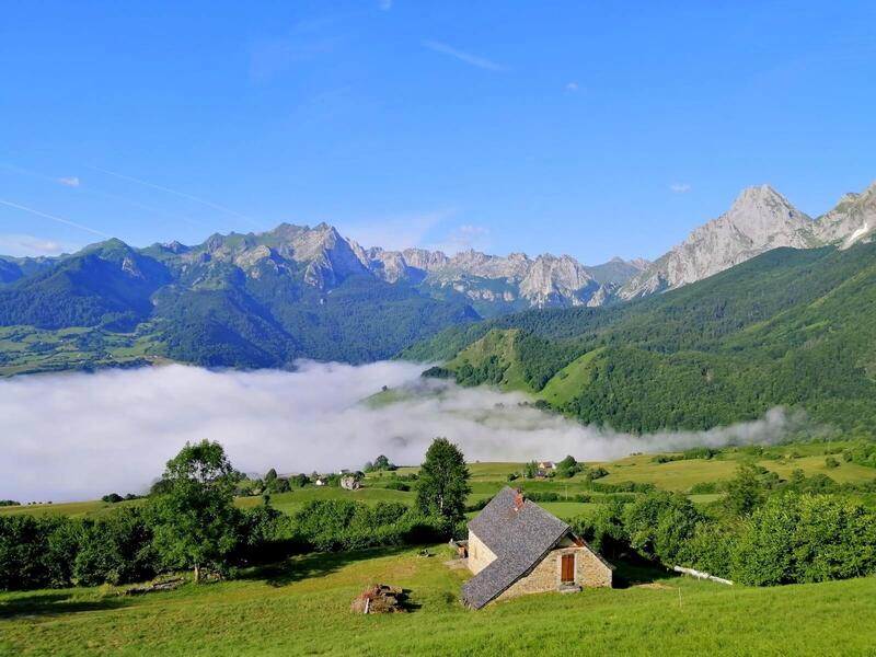 6a7473ab-6c1c-4af2-93d5-b5431a978b4f_novar