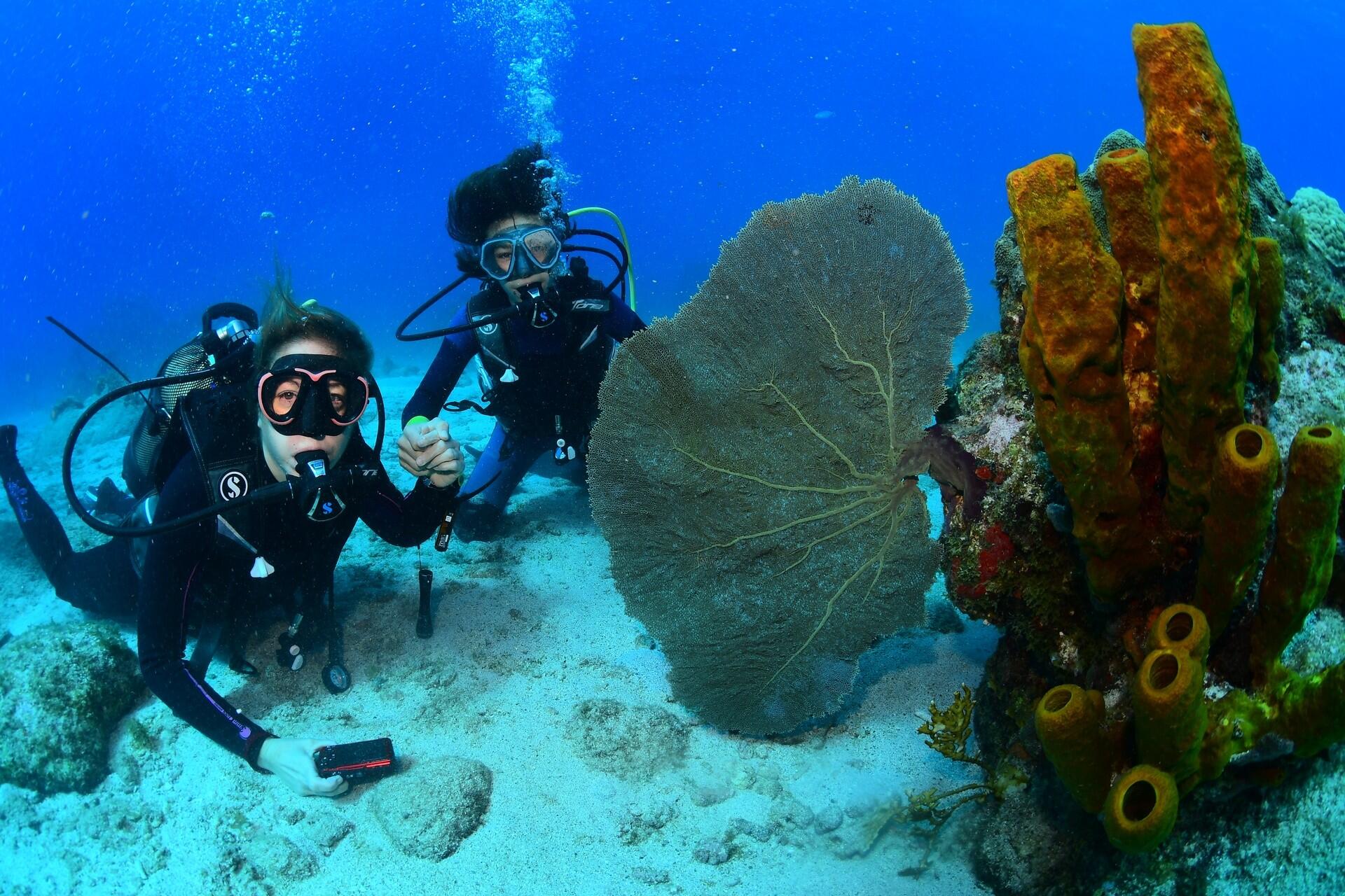 DECATHLON TRAVEL Duiken in het hart van de Antillen in Guadeloupe